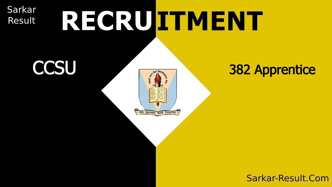 ccsu recruitment 2024 apply online for 382 apprentice out 1