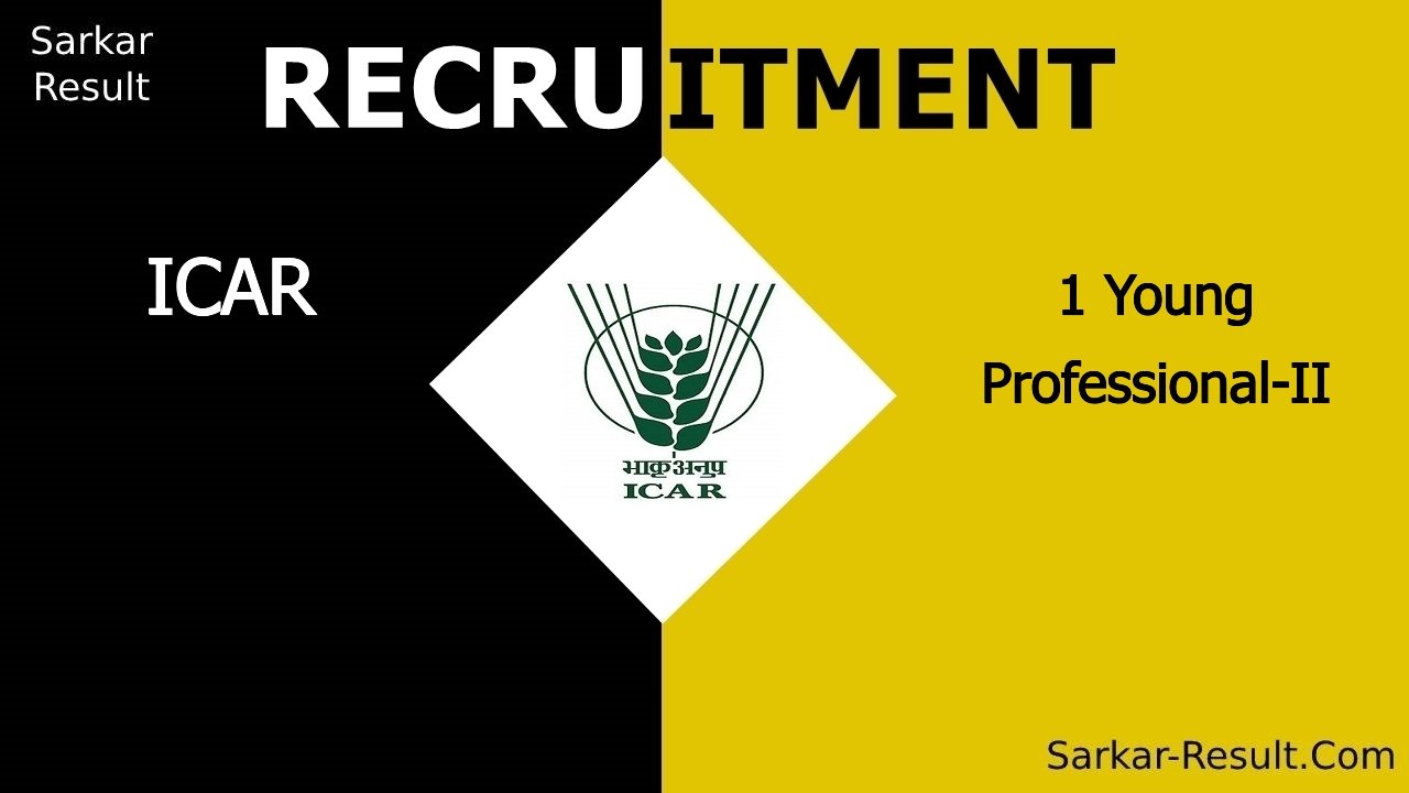 icar iimr recruitment 2024 apply for 1 young professional ii out