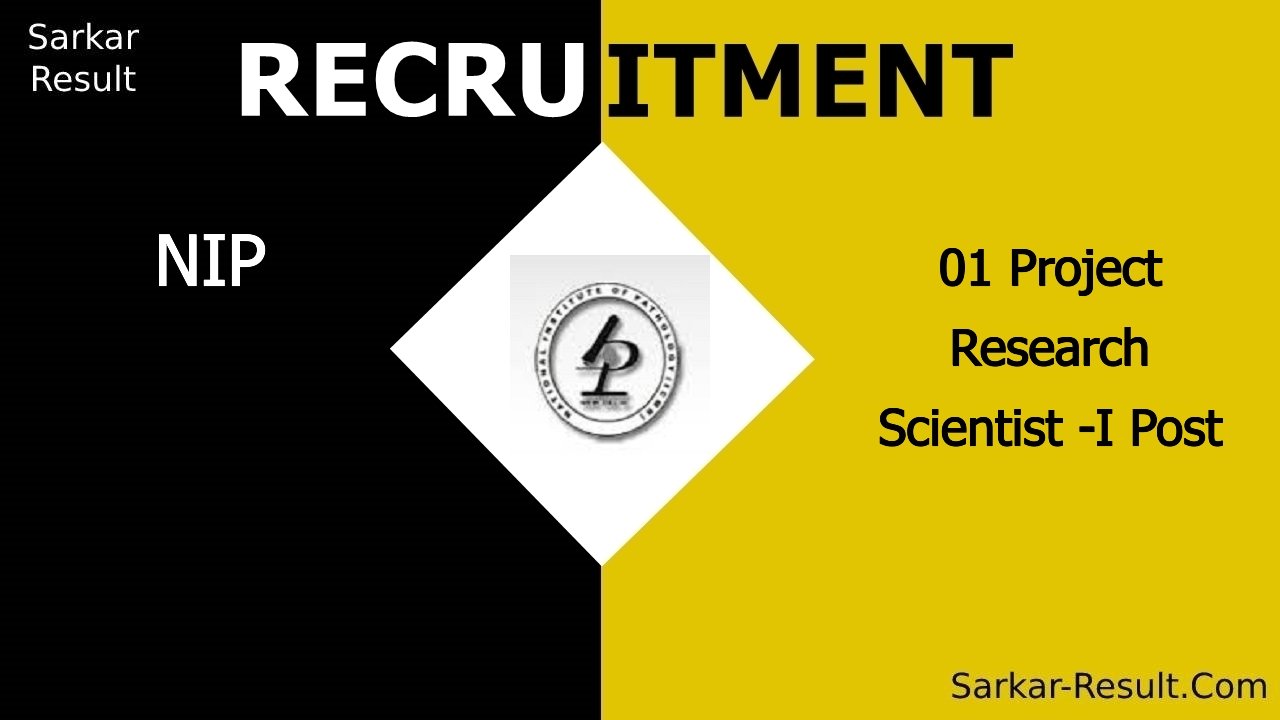 nip recruitment 2024 apply online for 01 project research scientist i post out