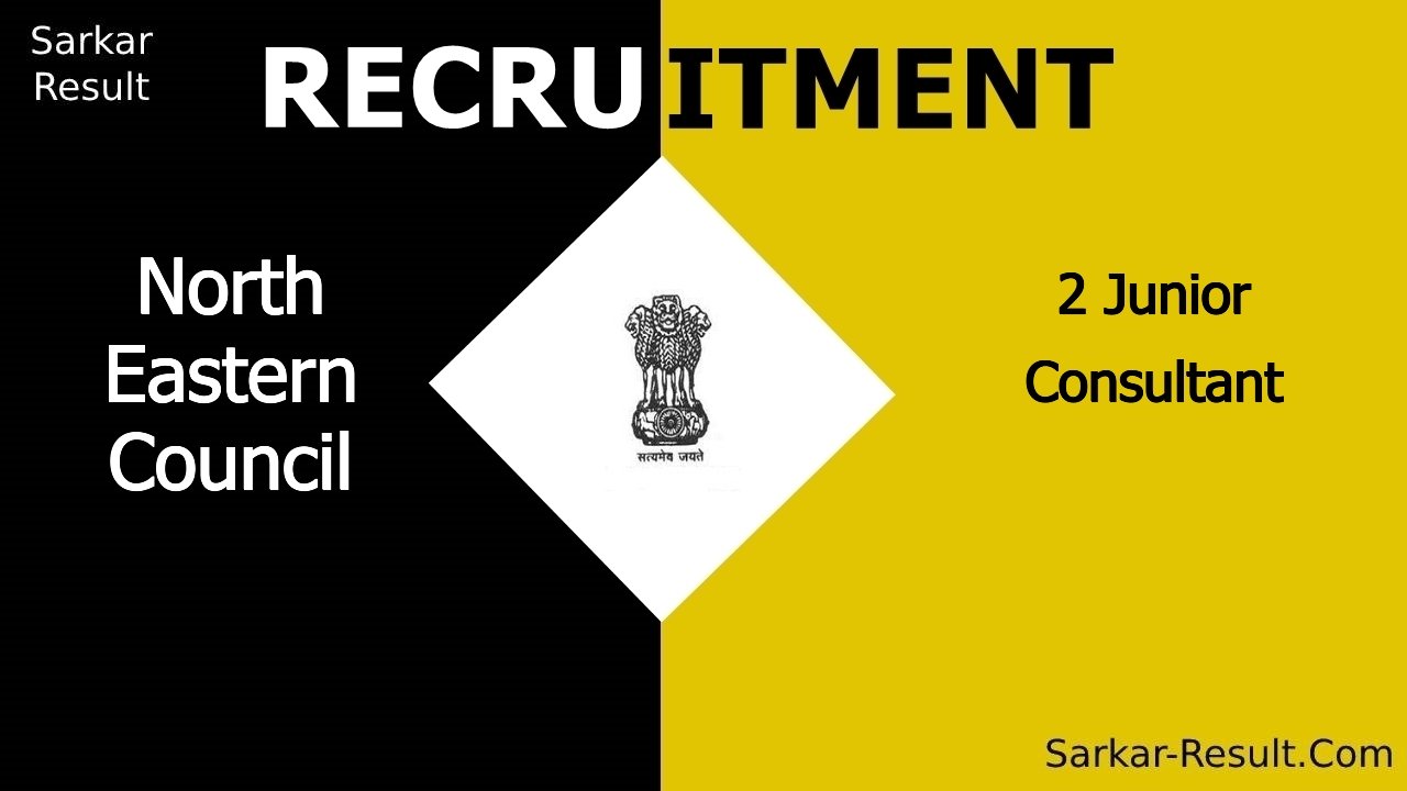 north eastern council recruitment 2024 apply offline for 2 junior consultant out