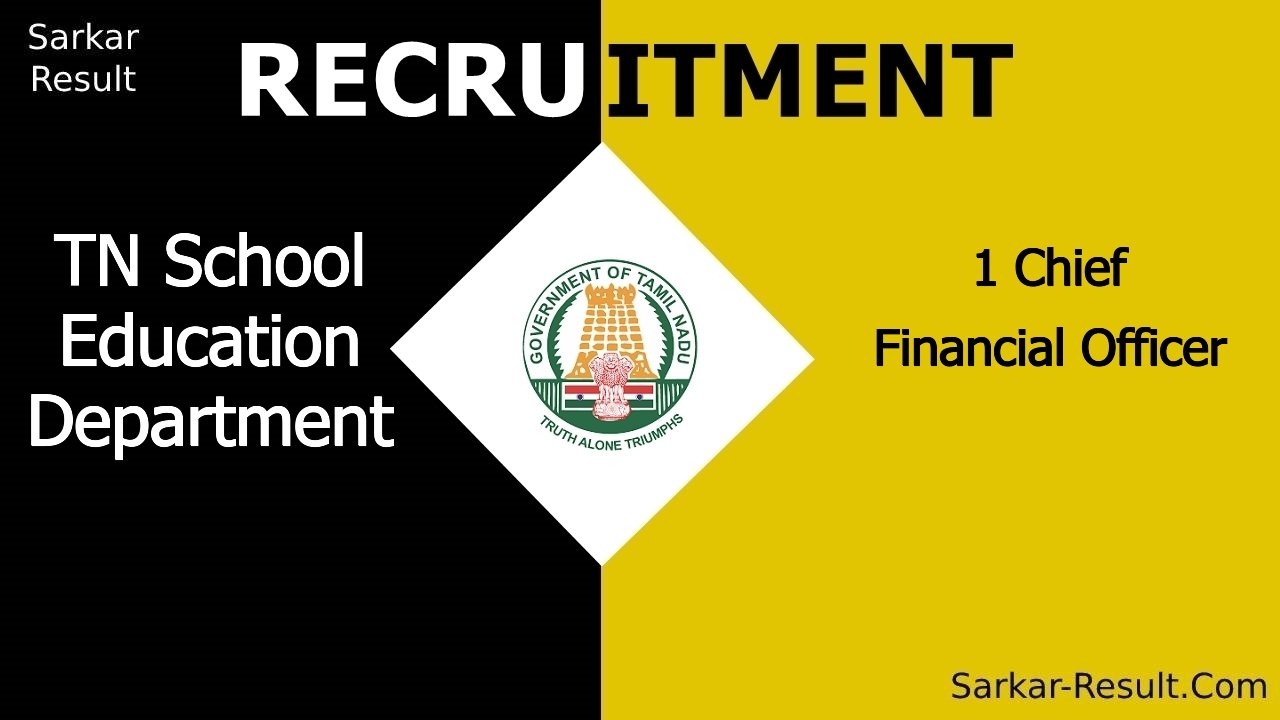 tn school education department recruitment 2024 apply offline for 1 chief financial officer out