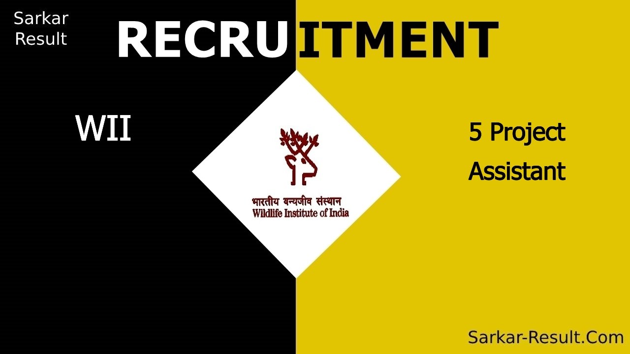 wii recruitment 2024 apply offline for 5 project assistant out