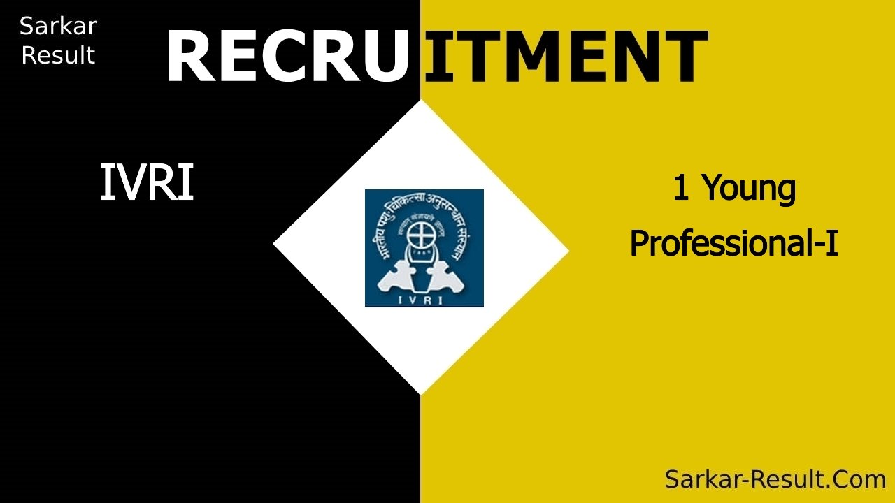 ivri recruitment 2024 walk in interview for 1 young professional i out