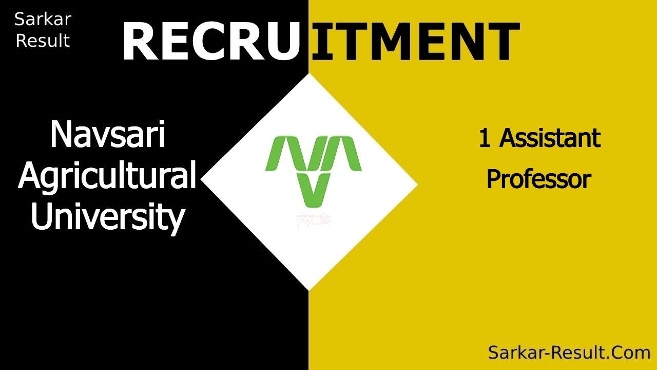 navsari agricultural university recruitment 2024 walk in interview for 1 assistant professor out