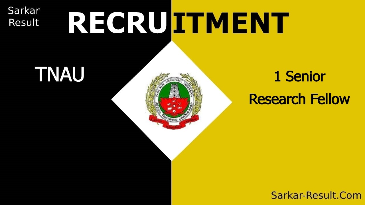 tnau recruitment 2024 walk in interview for 1 senior research fellow out